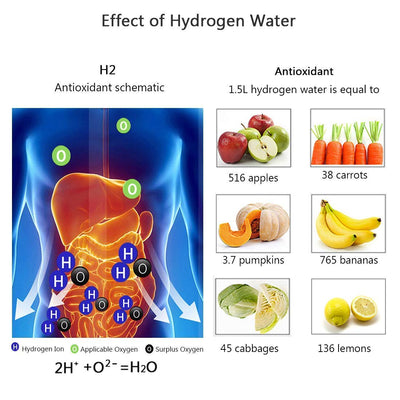 PRIMUS™   - HYDROGEN WATER BOTTLE